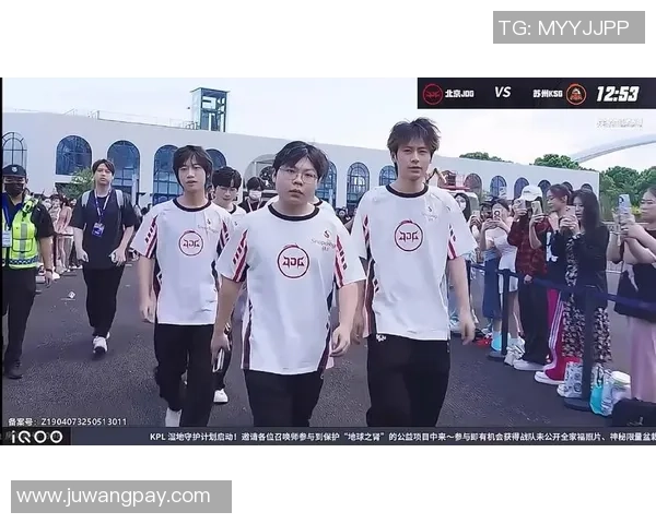 聚焦王者荣耀探讨JDG战队在比赛中的耐力与坚持精神